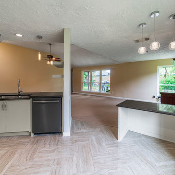 Flood Remodel -Living in Place