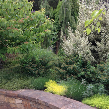 Plant Passion Garden