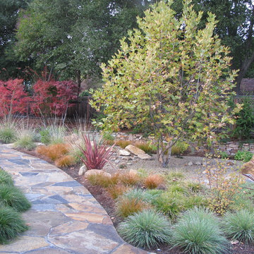 APLD 2011 Gold Award Recipient