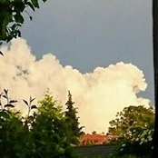 Hanne Schs foto