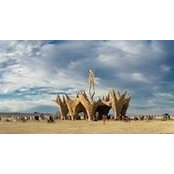Lili Mera's photo