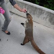 Lucy Kalinsky's photo