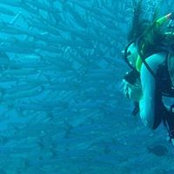 Marina Roca Bertomeu's photo