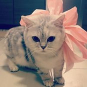 Yuko Chen's photo