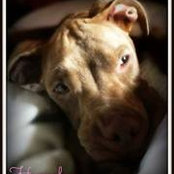 David Sepulveda's photo