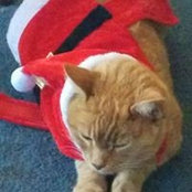 Santa Rick McLean's photo