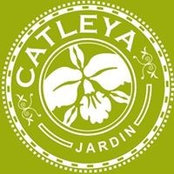 Catleya Jardin's photo