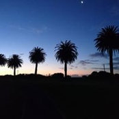 Katrina Evans's photo