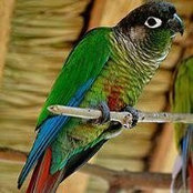 Nadia Adeel's photo