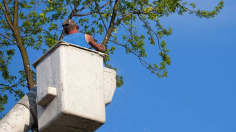 Best 15 Tree Trimming Removal Services In Cape Cod Ma Houzz