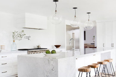 Kitchen - transitional kitchen idea in Other