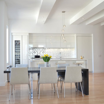 PROJECT: High Gloss NY Kitchen