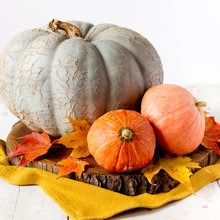 fall