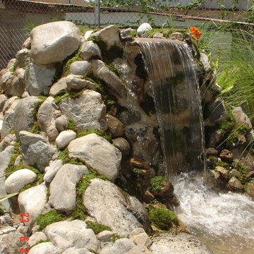 Biological Koi Ponds
