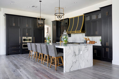 Kitchen - transitional kitchen idea in Phoenix with shaker cabinets and black cabinets