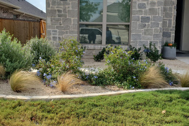 Photo of a modern landscaping in Austin.