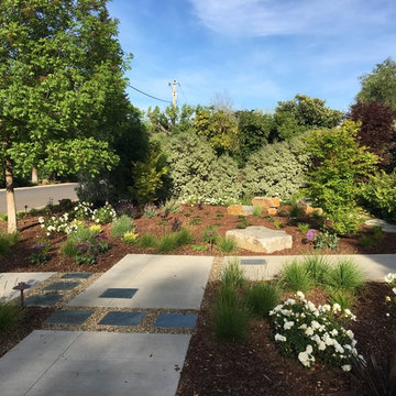 Front Lawn Removal - Los Altos