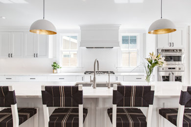 Kitchen - transitional kitchen idea in Denver