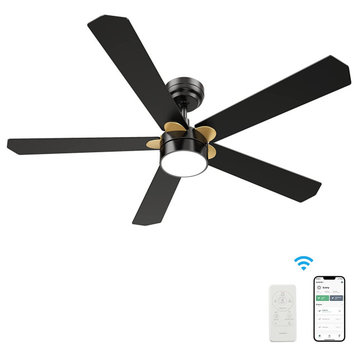 CARRO Ceiling Fan Downrod With Dim Led Light and Remote, Black and Gold 52"
