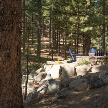 Forest home backyard renovation