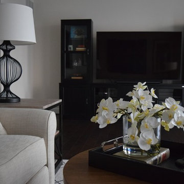 "Edgy" & Monochromatic Living Spaces- Manassas, VA