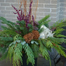 Outdoor floral urns autumn/winter