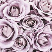 Janet Pedraza's photo
