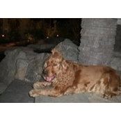 Ed Vineyard's photo