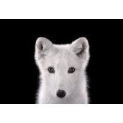 Barbra Graber's photo