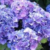 Ellen Groenwald's photo