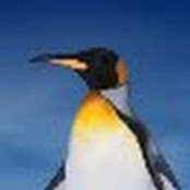 Ariel Fenster's photo