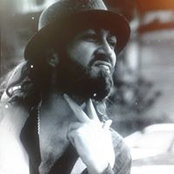 Adi Krauss's photo
