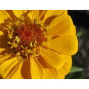 Judy Estridge's photo
