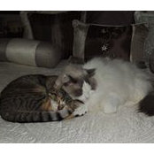 Tammy Randall Jones's photo