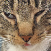 Brett Hartsell's photo