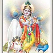 Nithya Bala's photo