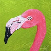 Stephanie Conlon Harris's photo