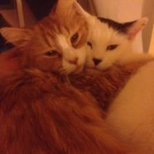 Mara Voukydis's photo