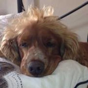 Nicky Schubach's photo