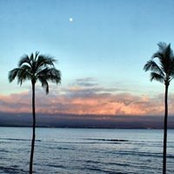 Debra Hoffman's photo
