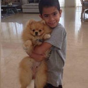 Sharon Vaknin's photo