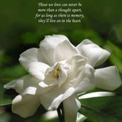 Nancy Killeen's photo
