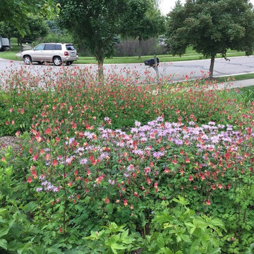 Native Perennial Gardens