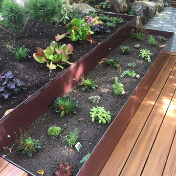 North Seattle Landscape Renovation