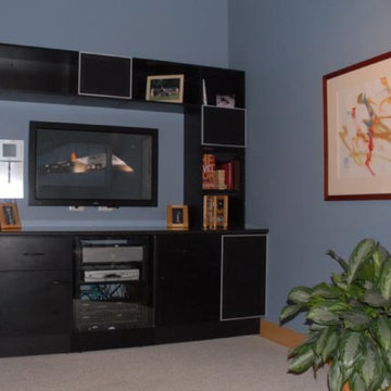 Home Entertainment System