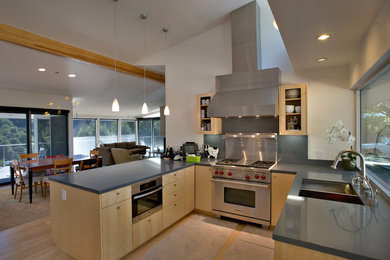 Example of a 1950s kitchen design in San Francisco