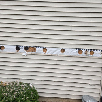Home Insulation