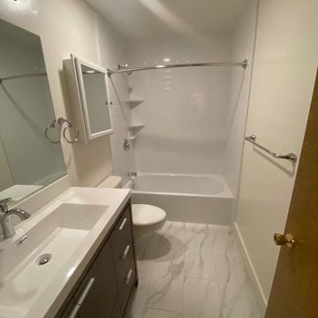 Bathtub Shower Combo
