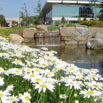 Jardin d'eau / bassin