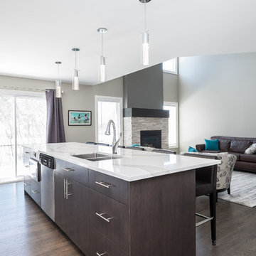 Kanata -Ground Floor Renovation